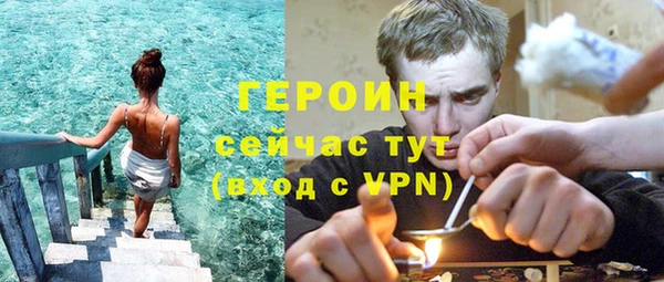PSILOCYBIN Алзамай