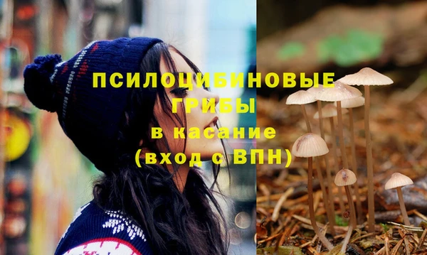 PSILOCYBIN Алзамай