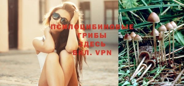 apvp Абинск