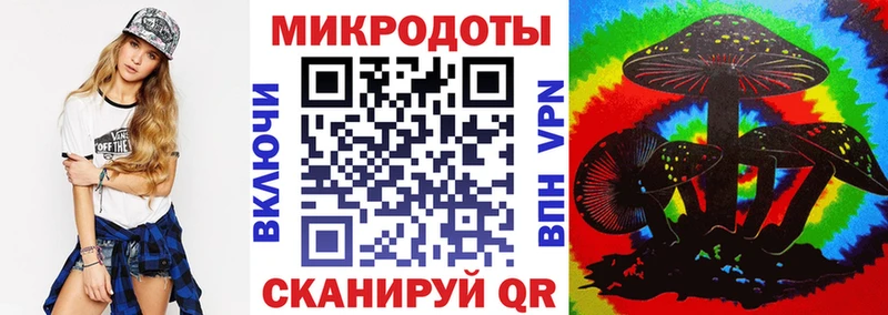Псилоцибиновые грибы Psilocybe  Чишмы 